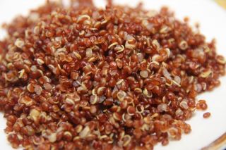 UNCLE BENÃ¢â‚¬â„¢S QUINOA RED & BLACK