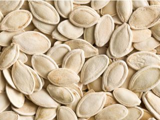 PUMPKIN SEEDS