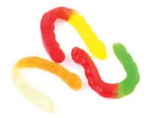  FRUIT WORMS - LARGE 4