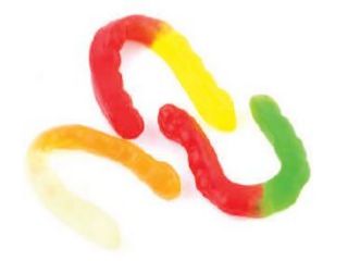  FRUIT WORMS - LARGE 4" 